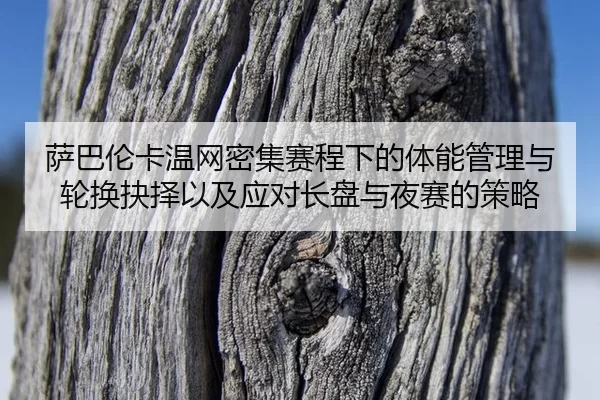 萨巴伦卡温网密集赛程下的体能管理与轮换抉择以及应对长盘与夜赛的策略